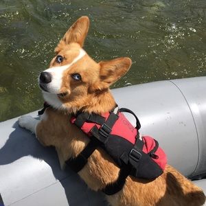 Meet your Posher, Todd